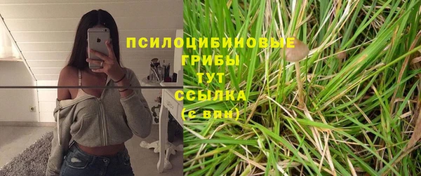 ГАЛЛЮЦИНОГЕННЫЕ ГРИБЫ Протвино