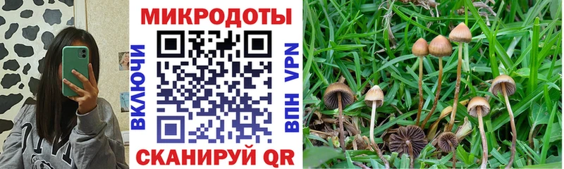 Галлюциногенные грибы мухоморы Избербаш